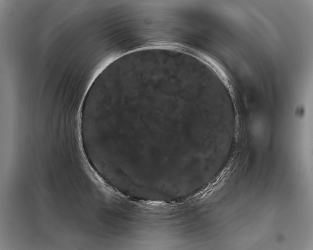 X0000098130907200804171518