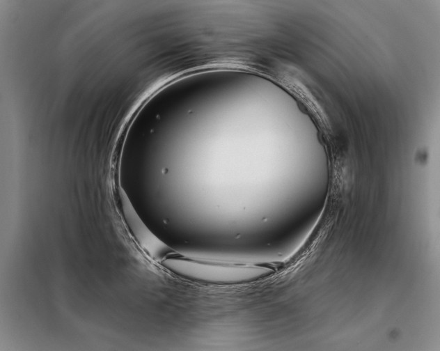 X0000098130908200804171518