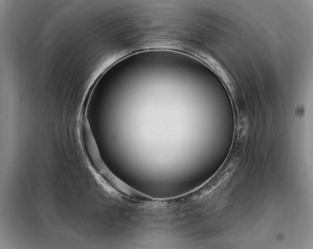 X0000098130909200804171518