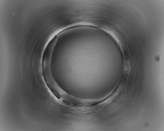 X0000098130910200804171518