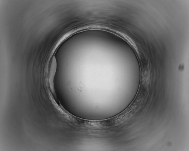 X0000098130911200804171518
