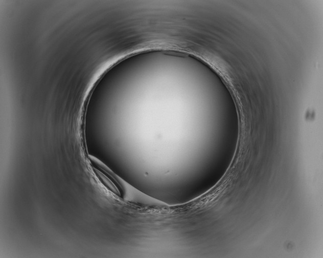 X0000098130912200804171518