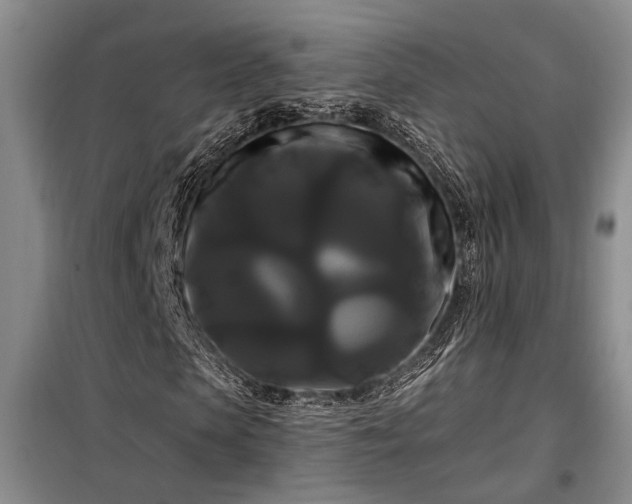 X0000098130913200804171517