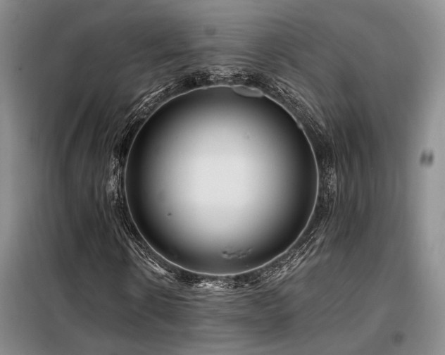 X0000098130914200804171517