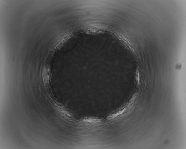 X0000098130915200804171517
