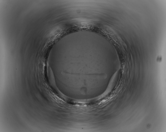 X0000098130916200804171517