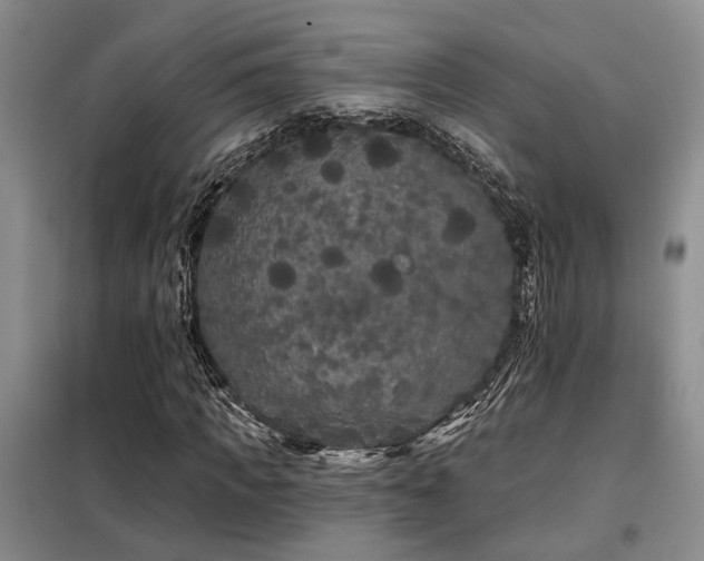 X0000098130917200804171517