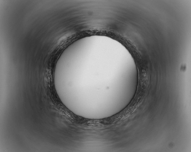 X0000098130918200804171517