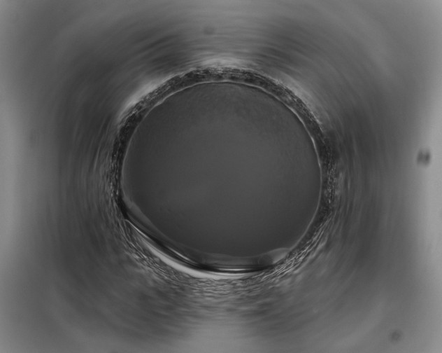 X0000098130919200804171517