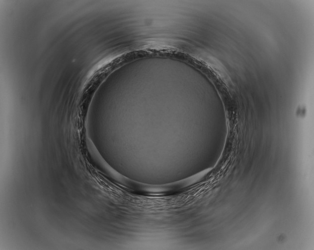 X0000098130920200804171517