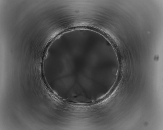 X0000098130921200804171517