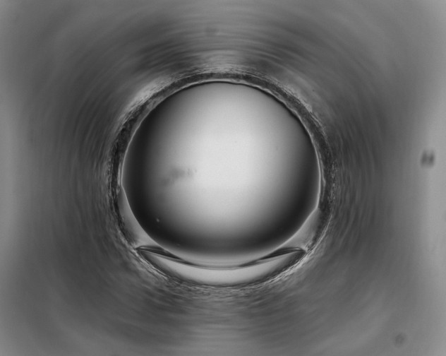 X0000098130922200804171517