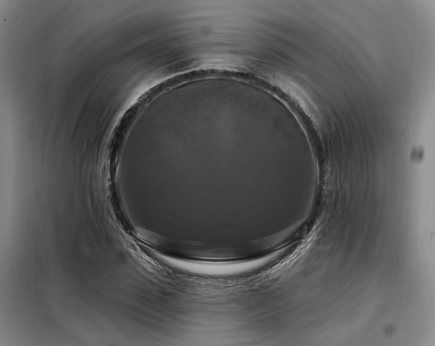 X0000098130923200804171517