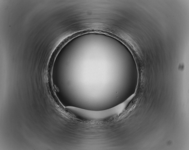 X0000098130924200804171517