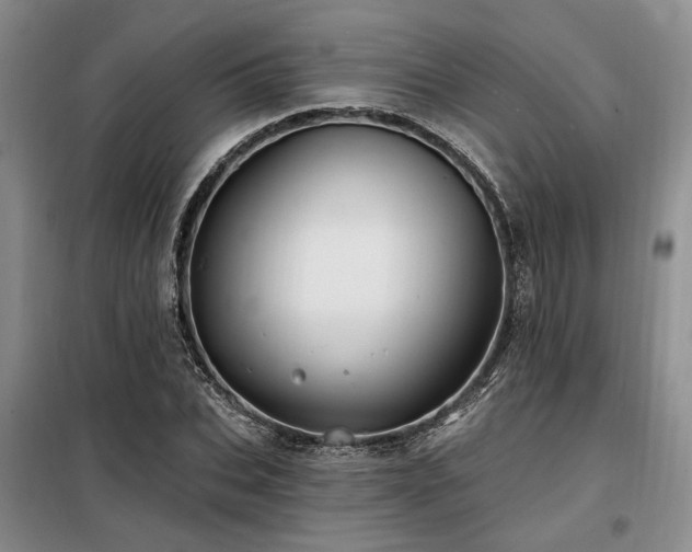 X0000098130927200804171517