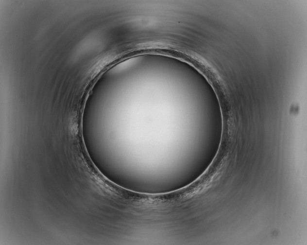 X0000098130929200804171517