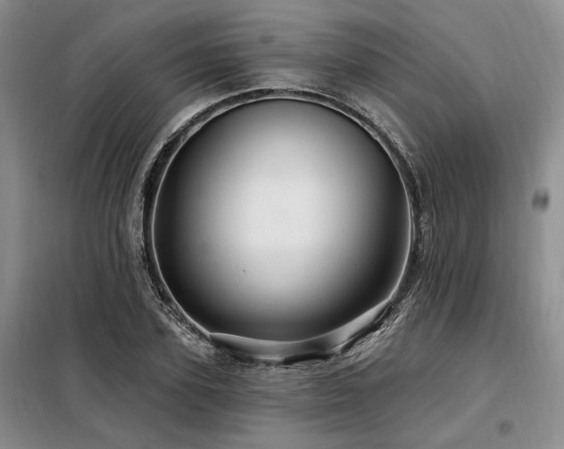 X0000098130931200804171517