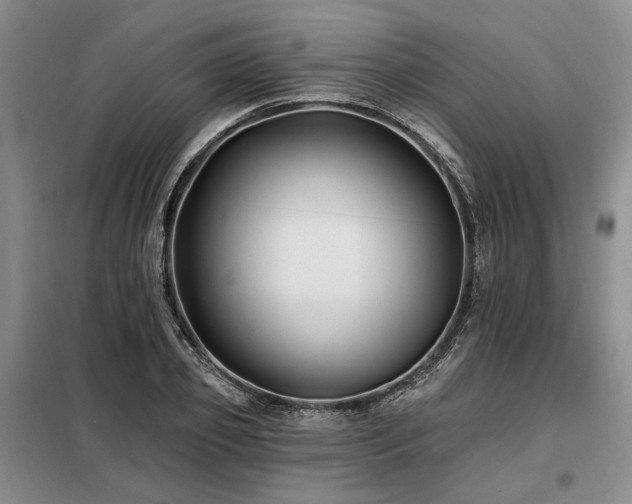X0000098130933200804171517