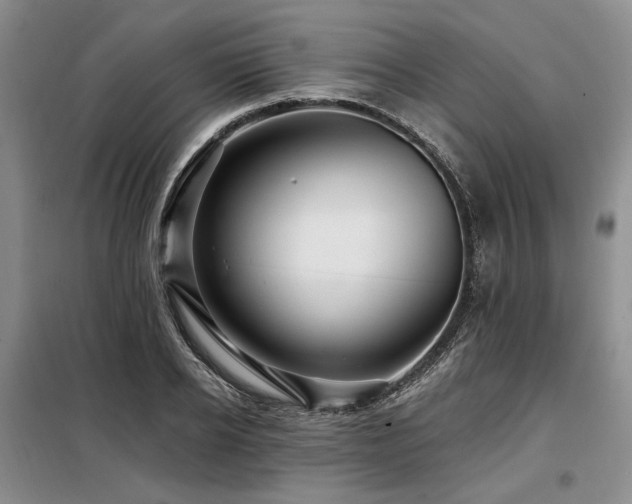 X0000098130934200804171517