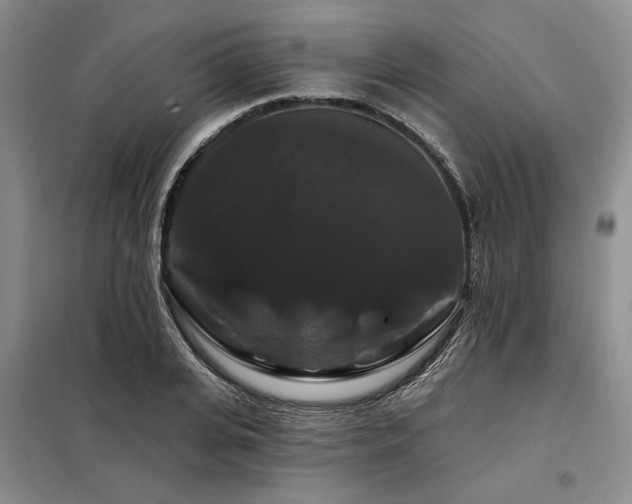 X0000098130935200804171517