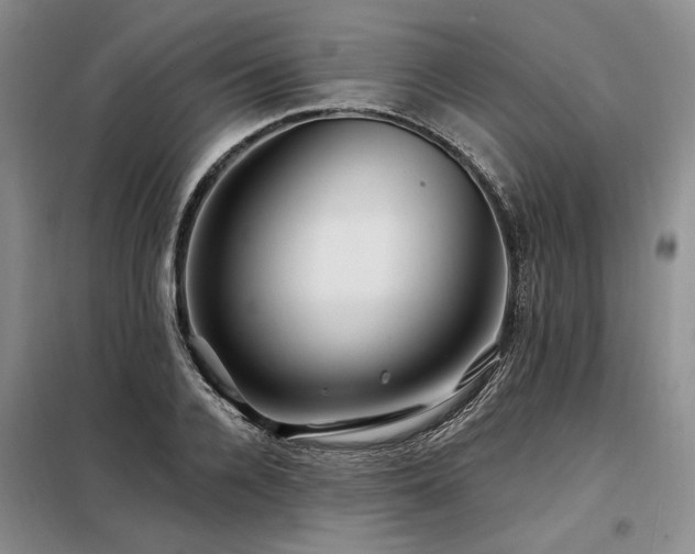 X0000098130936200804171517