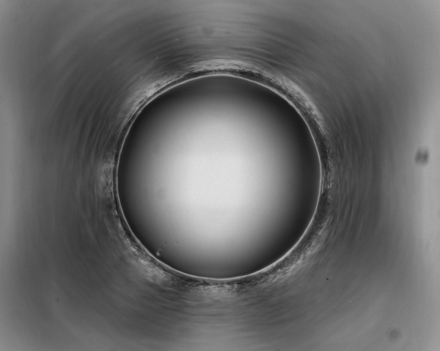 X0000098130937200804171517