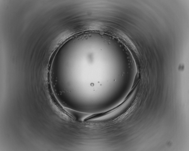X0000098130938200804171517