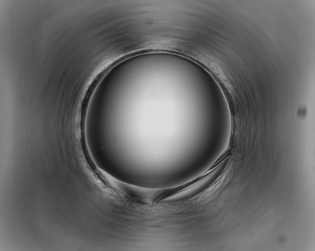 X0000098130939200804171517