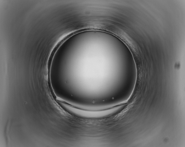 X0000098130940200804171517