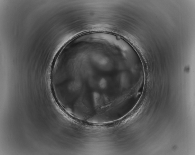 X0000098130941200804171517