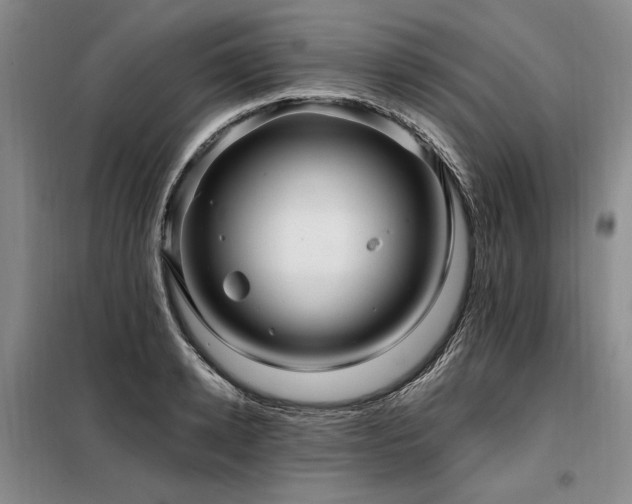 X0000098130942200804171517