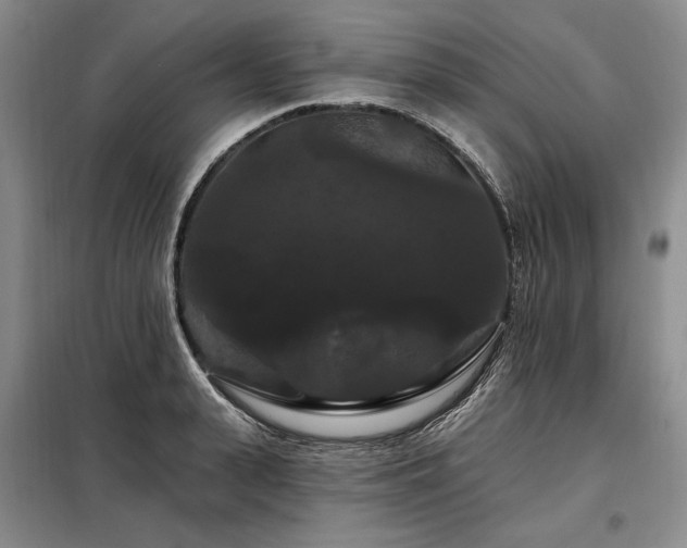 X0000098130943200804171517