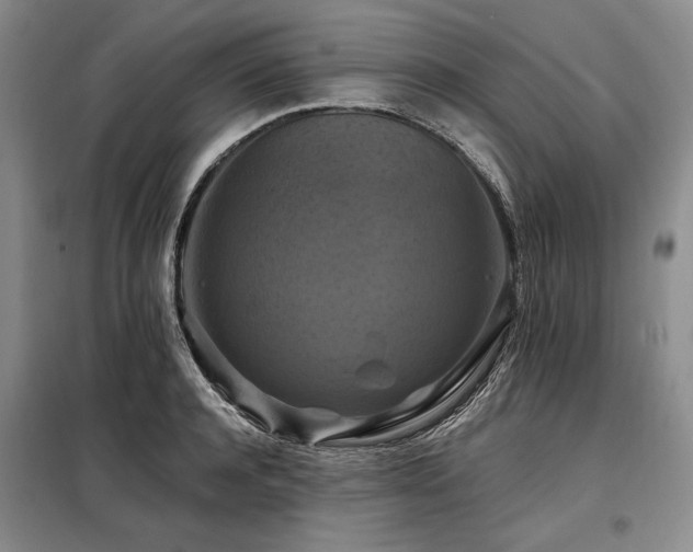 X0000098130944200804171517