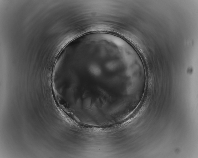 X0000098130945200804171517