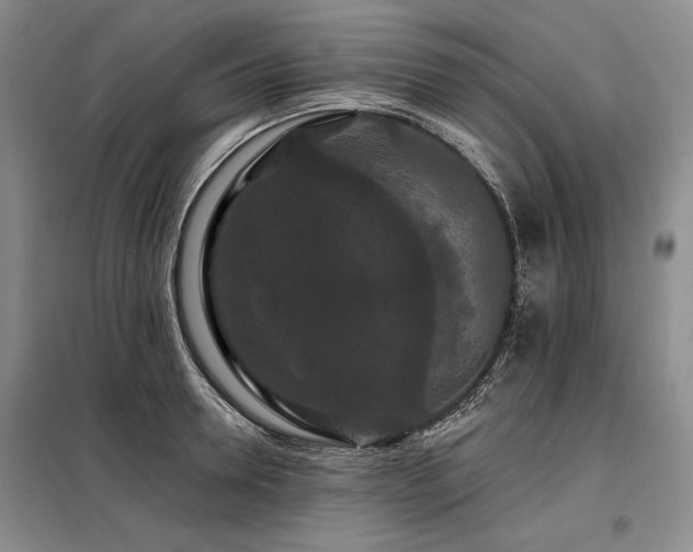 X0000098130946200804171517