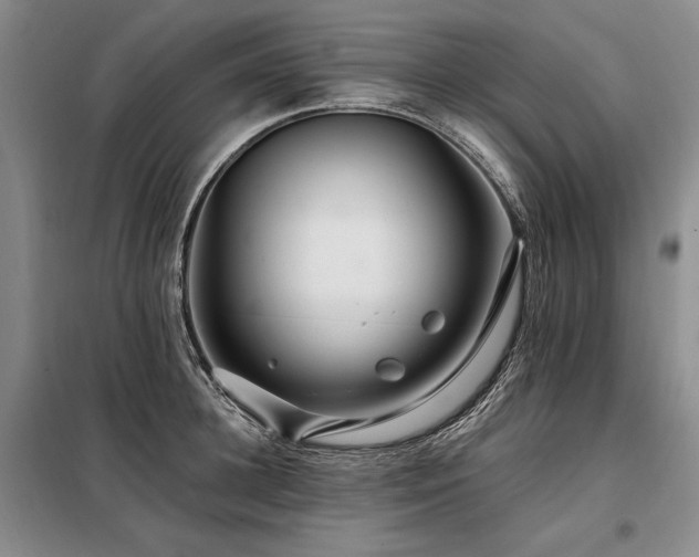 X0000098130948200804171517