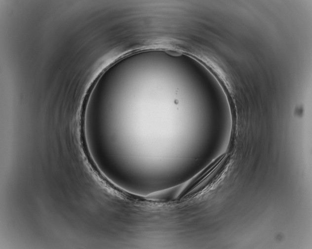 X0000098130949200804171518