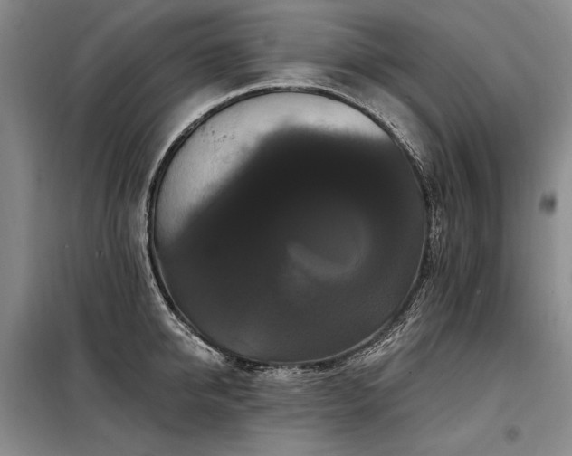X0000098130950200804171518