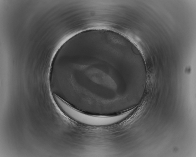 X0000098130951200804171518