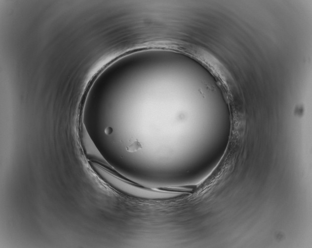 X0000098130952200804171518
