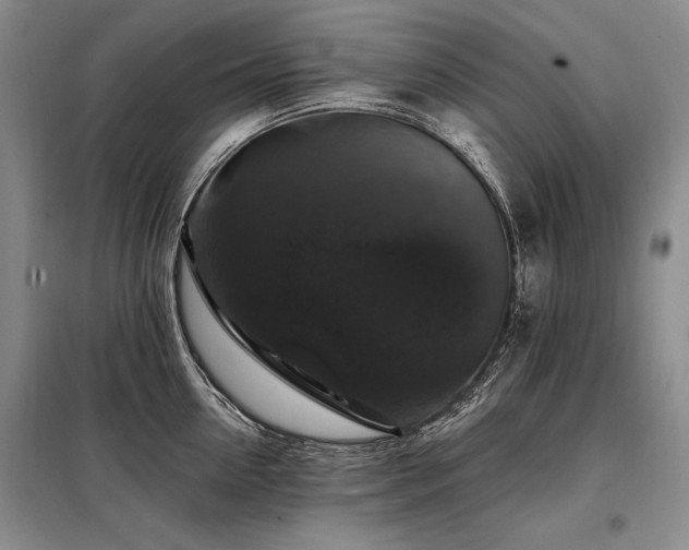 X0000098130954200804171518