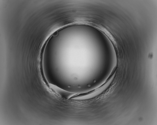 X0000098130955200804171518