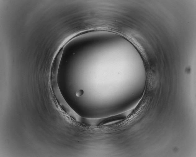 X0000098130956200804171518