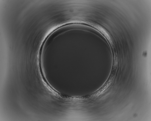 X0000098130958200804171518