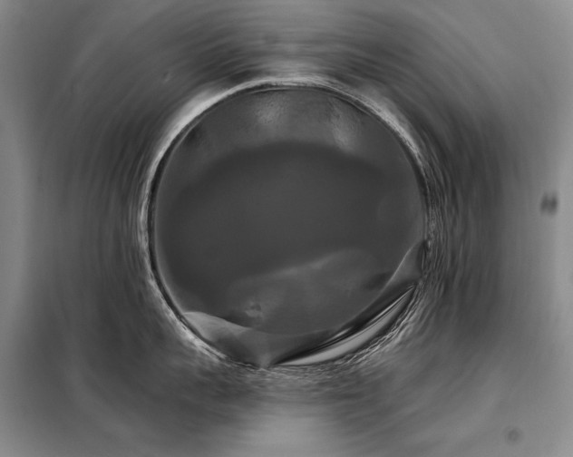 X0000098130959200804171518