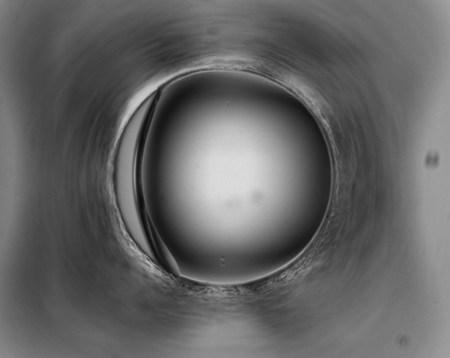 X0000098130960200804171518