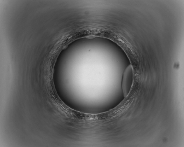 X0000098130961200804171517