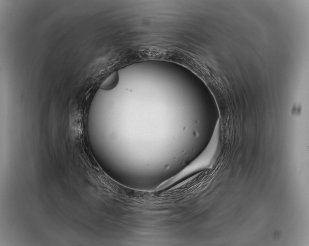X0000098130962200804171517