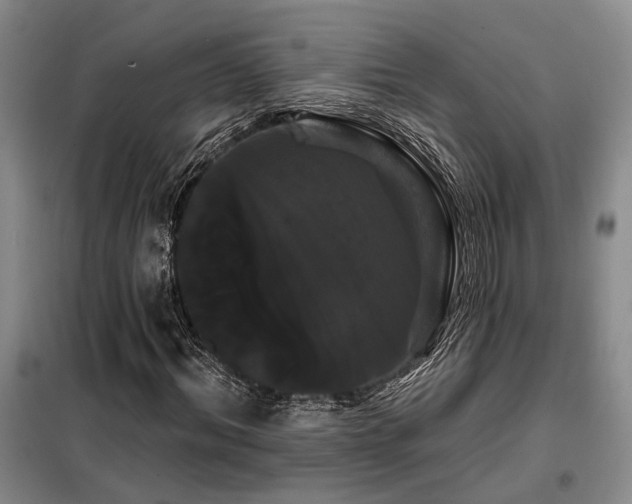 X0000098130964200804171517