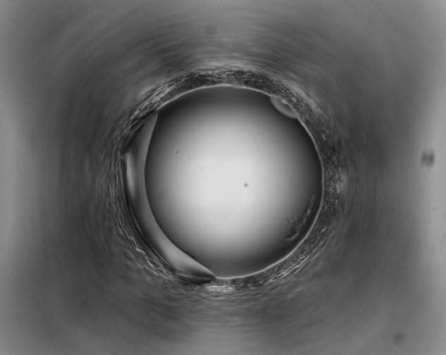 X0000098130965200804171517